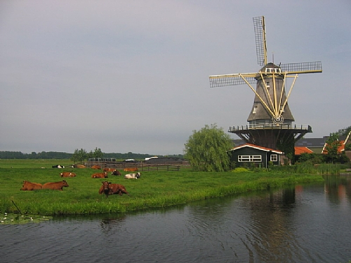 TMV