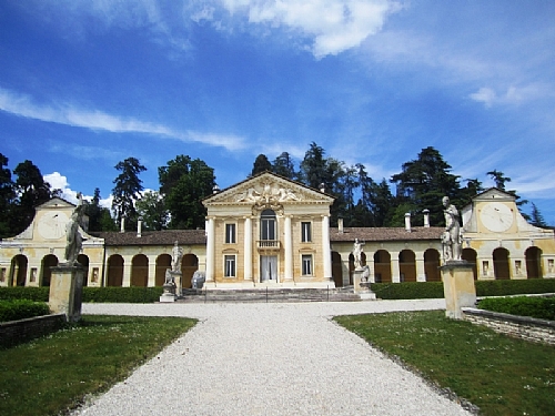 TMV