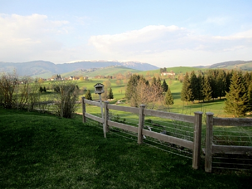 TMV