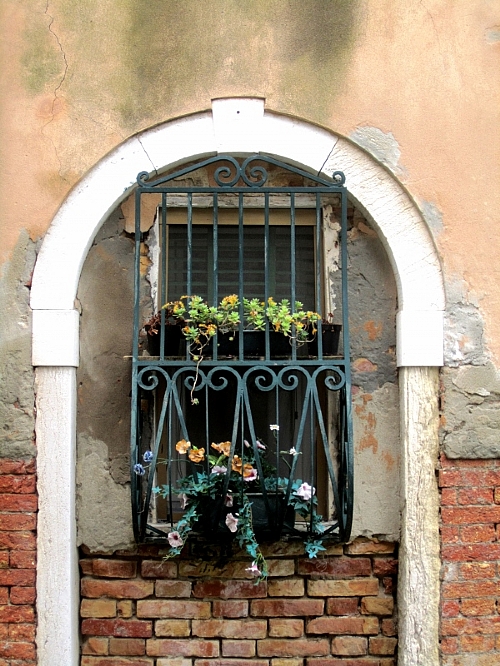 TMV