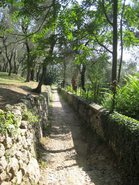 TMV