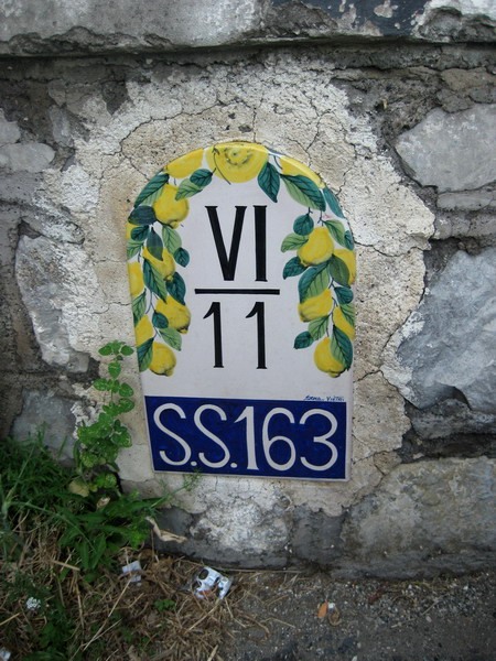 TMV