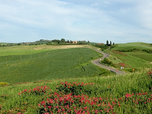 TMV