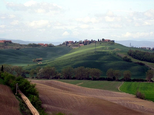 TMV