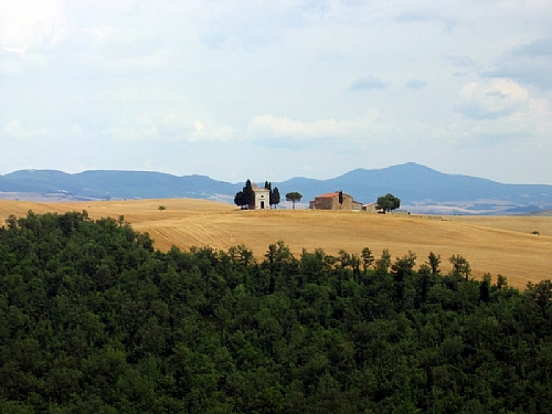 TMV