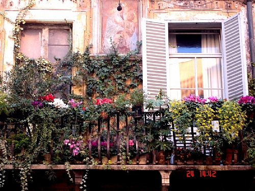 TMV