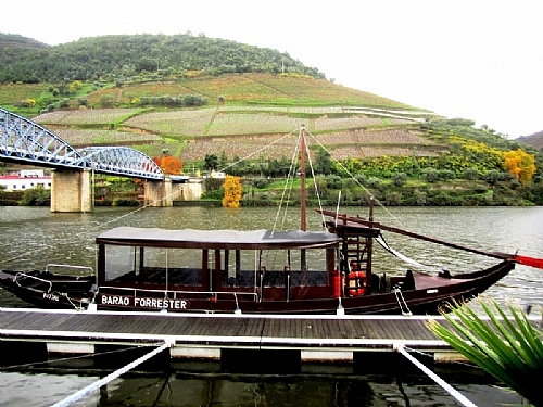 TMV
