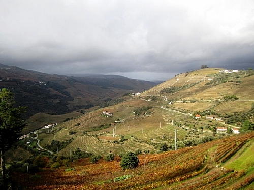 TMV