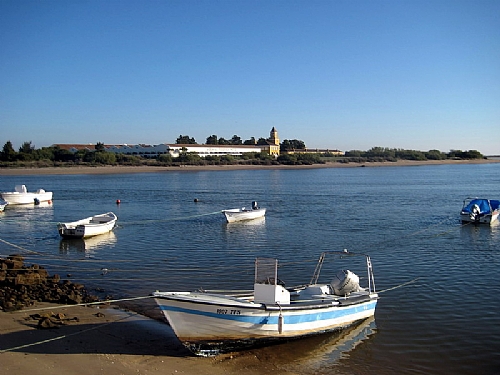 TMV