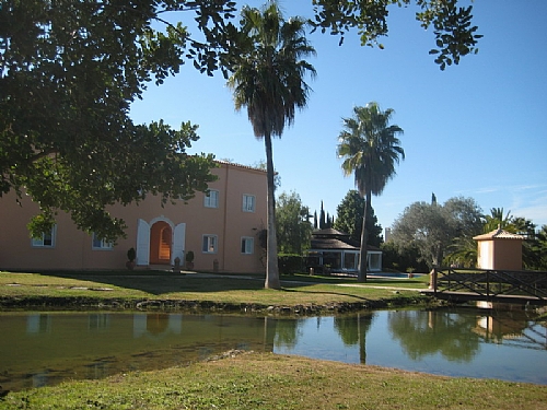 TMV