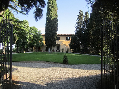TMV