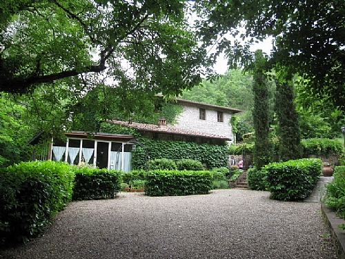 TMV