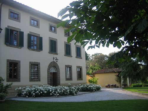 TMV