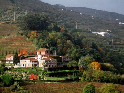 TMV