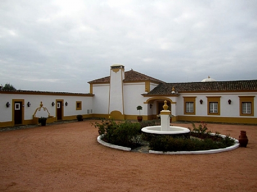 TMV