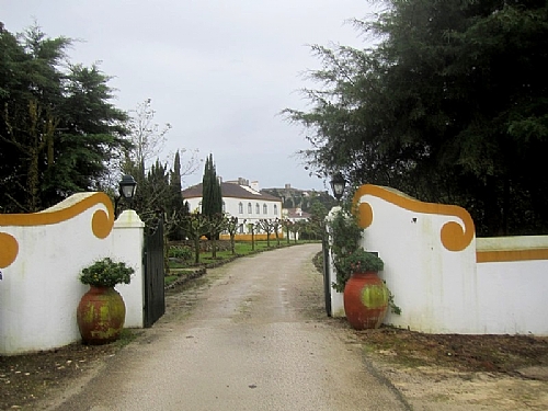 TMV