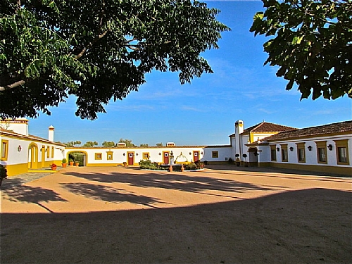 TMV