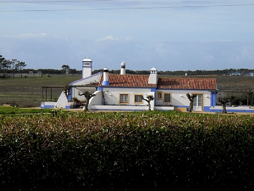 TMV