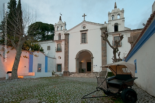 TMV