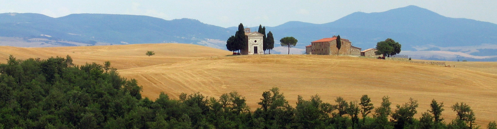 TMV