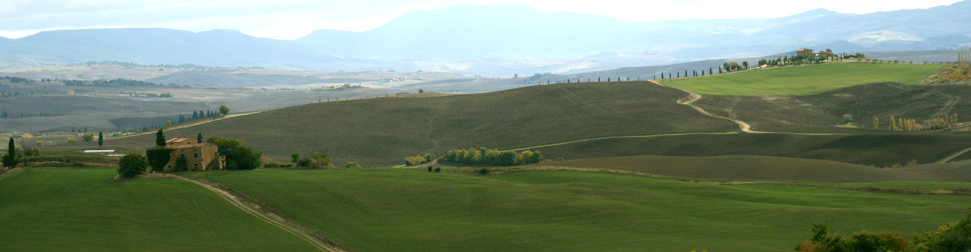 TMV