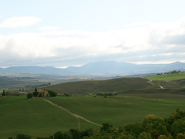 TMV